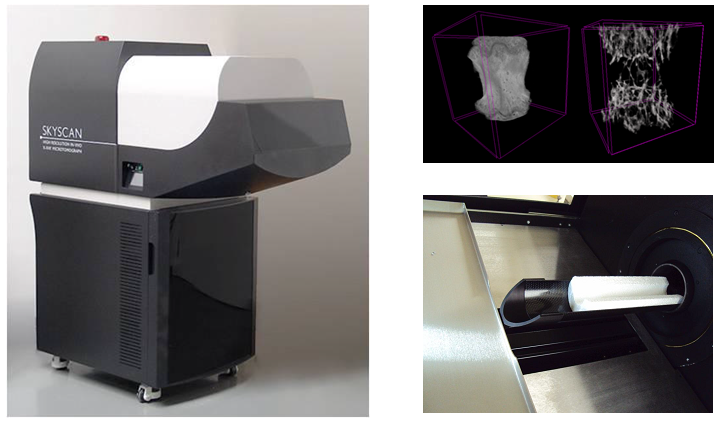 Microtomographe à rayons X in vivo (SkyScan 1176)