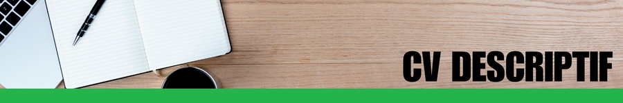 CV descriptif
