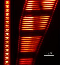 DNA in Nanoscale Electronics – Jason Slinker, UT Dallas