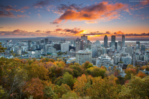 **En ligne** The 23rd International DSM Conference