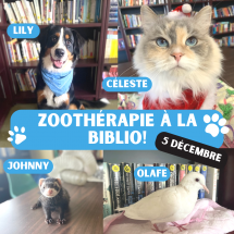  Zoothérapie à la Bibliothèque!