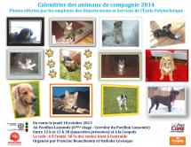Vente du calendrier des animaux de compagnie