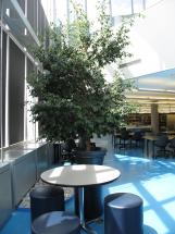 Atelier Découverte de la Bibliothèque