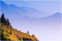 Séance pleine conscience - Apprivoiser les douleurs physiques