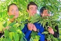 Défi inter-facultés de course