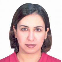 Soutenance de thèse de doctorat - N. Falaknaz - Génies civil, géologique et des mines