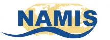 École d'été internationale NAMIS 2015