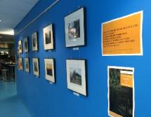 Exposition PolyPhoto à la Bibliothèque