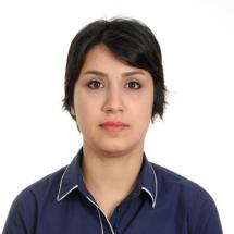 Soutenance de thèse de doctorat - Seyedeh Laleh Dashtban Kenari - Génies civil, géologique et des mines