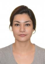 Présentation d'un mémoire de maîtrise - Maryam Safari - Génies civil, géologique et des mines