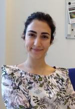 Soutenance de thèse de doctorat - Matin Alsadat Nabavi Niaki - Génies civil, géologique et des mines