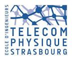 Intéressés à partir en échange? Présentation de Télécom Physique Strasbourg (France)