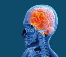 Soutenance de thèse - Doctorat en informatique cognitive