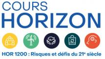 Webinaire midi de l'UdeM : Une pédagogie alternative au cours magistral?
