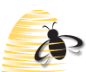 Career Webcafé - Job Interviews (en anglais)