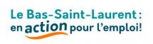 Salon virtuel de l’emploi au Bas-Saint-Laurent!