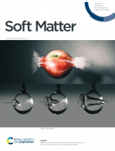 Discovery Seminar : “Ballistic Microfluidics as a platform for Chemical Engineering Applications and Bioengineering”