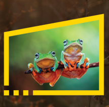 EY 2022 Better Working World Data Challenge (compétition en anglais)