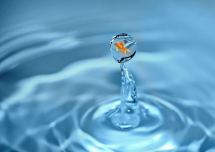 Atelier pour étudiants internationaux: "Comme un poisson dans l'eau?" (en anglais)