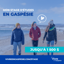 Programme "Mon stage d’études en Gaspésie" (allocation financière) Hiver/Été 2022