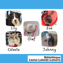 Zoothérapie à la Bibliothèque