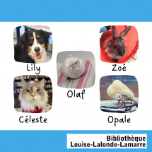 ZOOTHÉRAPIE À LA BIBLIOTHÈQUE LOUISE-LALONDE-LAMARRE