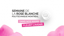 Semaine de la rose blanche 2024