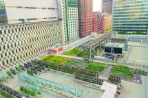 **En ligne** Agriculture urbaine : l’apport de l’ingénierie!