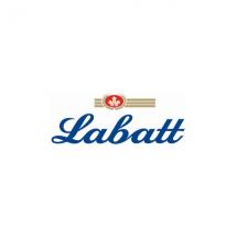 **En ligne** Talent Program Panel Event 