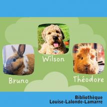 Zoothérapie à la bibliothèque Louise-Lalonde-Lamarre