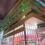 Virtual Open House
