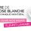 Cérémonie de l'Ordre de la rose blanche