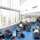 Atelier EndNote X5 de base