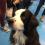 Visite du chien Duff!