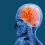 Soutenance de thèse - Doctorat en informatique cognitive
