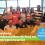 Bourses ambassadeurs(trices) en entrepreneuriat