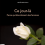 Lancement du livre « Ce jour-là - Parce qu'elles étaient des femmes »