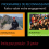 Programmes de reconnaissance
