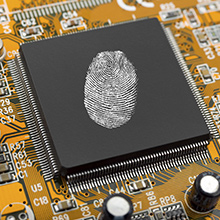 Un baccalauréat en cybersécurité bientôt décerné à Polytechnique Montréal