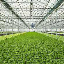 $3.4 million in funding announced for a project that aims to reduce the environmental impact of greenhouse crop production 
