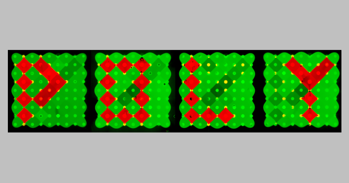 «Poly» sur un afficheur chimique pixélisé «Poly» sur un afficheur chimique pixélisé
