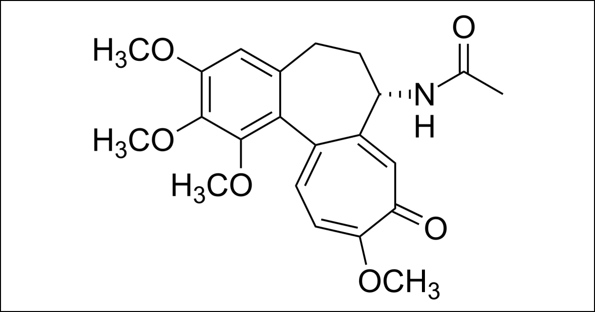 Structure chimique de la colchicine. (Image : Calvero/Wikimedia Commons) Structure chimique de la colchicine. (Image : Calvero/Wikimedia Commons)