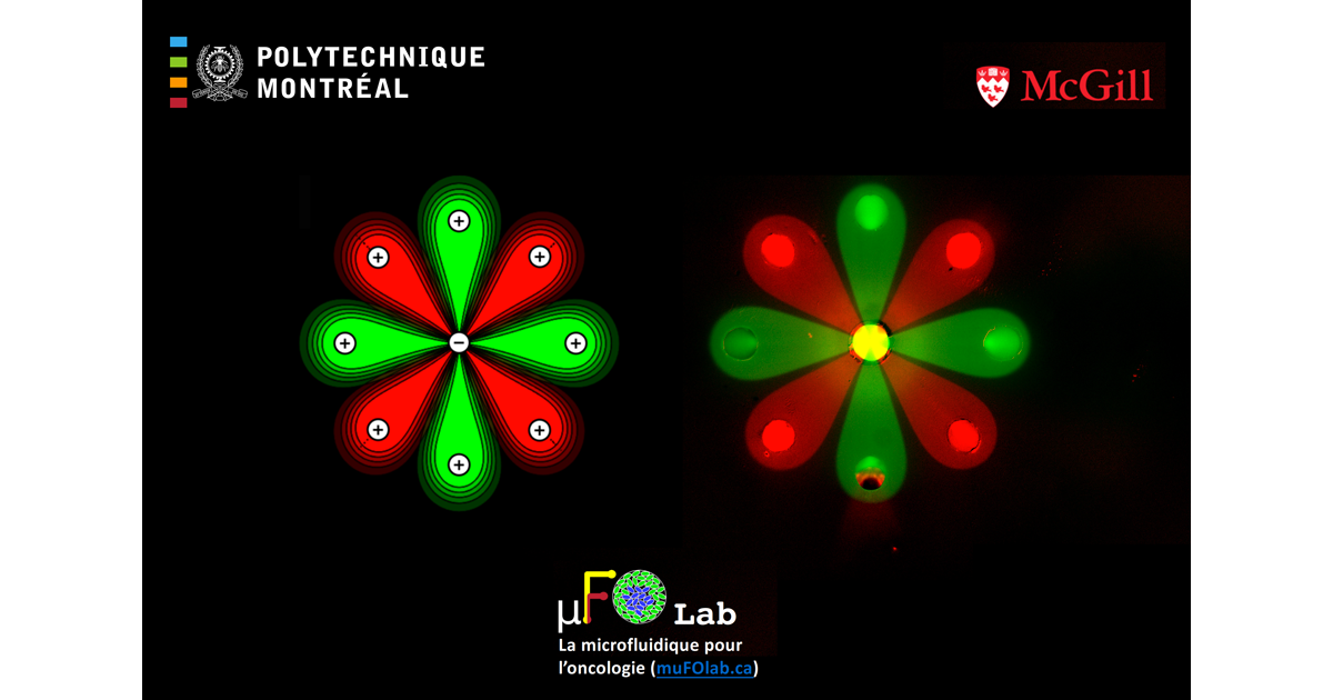 Motif de fleur produit par microfluidique multipolaire. Étienne Boulais (théorie), Pierre-Alexandre Goyette (expérience). Multipolar microfluidic flower pattern. Artists: Étienne Boulais (theory), Pierre-Alexandre Goyette (experiments).