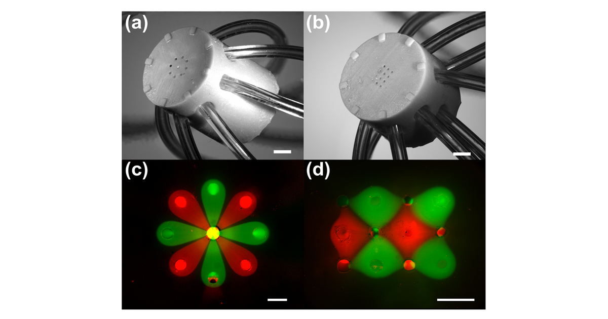 Dispositif microfluidique fabriqué par impression 3D et images de motifs microscopiques de fluides créés à l’aide de solutions fluorescentes. Dispositif microfluidique fabriqué par impression 3D et images de motifs microscopiques de fluides créés à l’aide de solutions fluorescentes.
