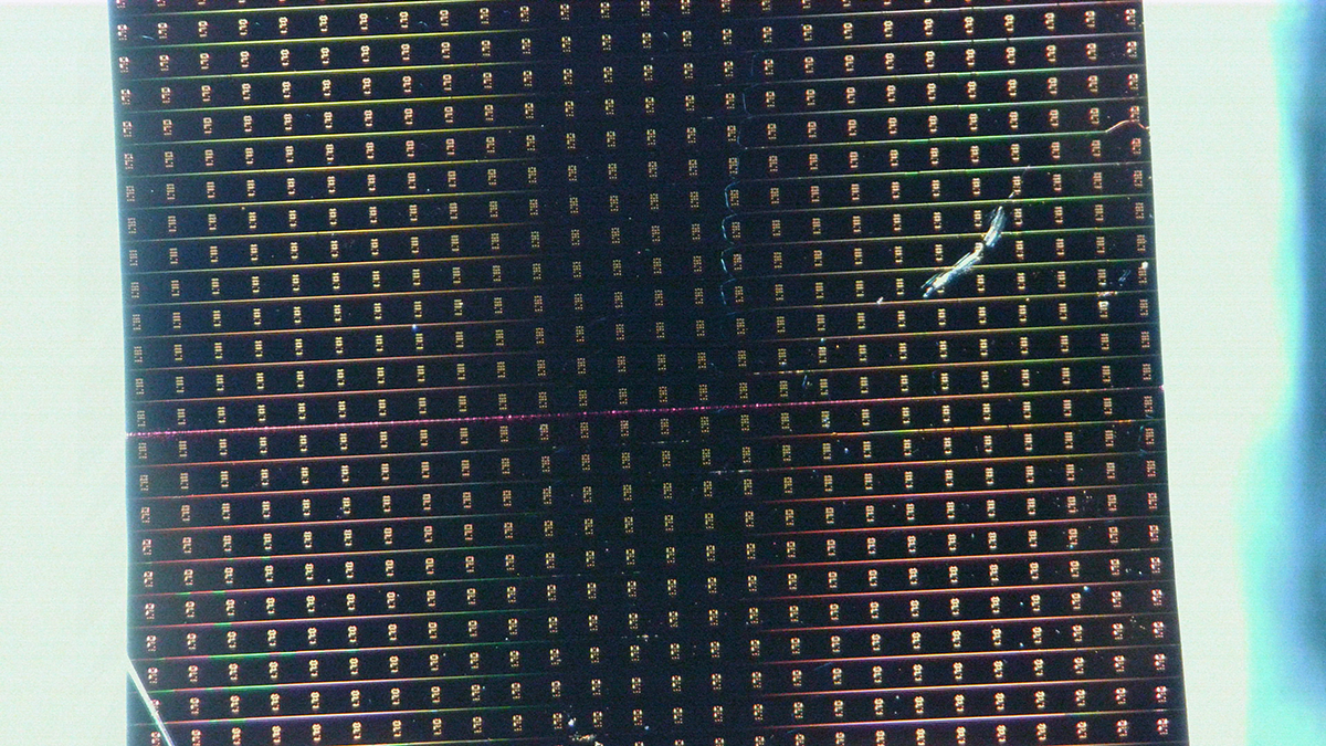 Des chercheurs à Polytechnique Montréal ont utilisé des guides d’ondes — des canaux microscopiques fabriqués sur une plaquette de silicium — dans le cadre d'une percée en photonique pour freiner la facture énergétique de l’IA . (Photo Pierre-Luc Brillant) Des chercheurs à Polytechnique Montréal ont utilisé des guides d’ondes — des canaux microscopiques fabriqués sur une plaquette de silicium — dans le cadre d'une percée en photonique pour freiner la facture énergétique de l’IA . (Photo Pierre-Luc Brillant)