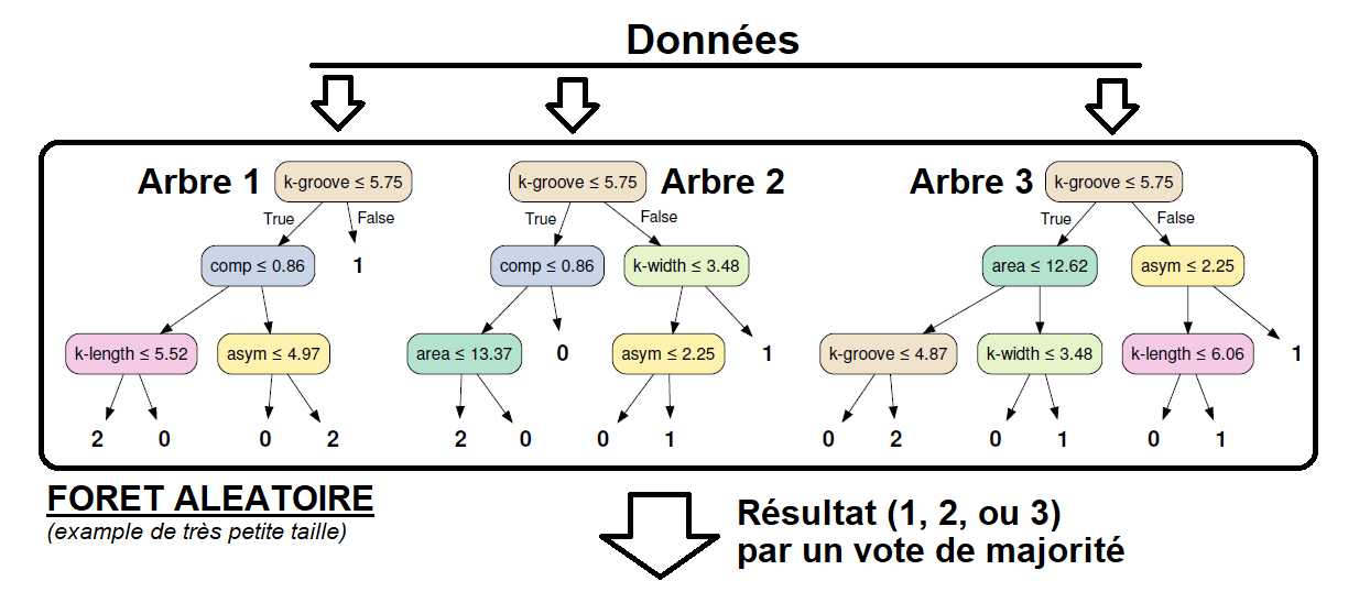 Exemple de forêt aléatoire.