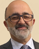 Prof. Anoush Poursartip, PhD, P.Eng., FCAE