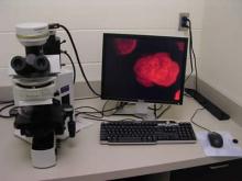 Drinking-water treatment and distribution: Epifluorescence microscope with image analysis system