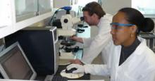 Wastewater treatment: Phase-contrast microscopy