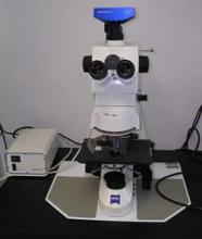 Traitement des eaux usées : microscope à contraste de phase